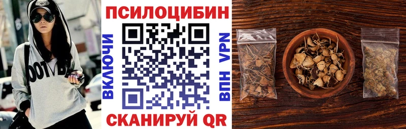 МЕГА ССЫЛКА  маркетплейс формула  Псилоцибиновые грибы мицелий  что такое   Сураж 